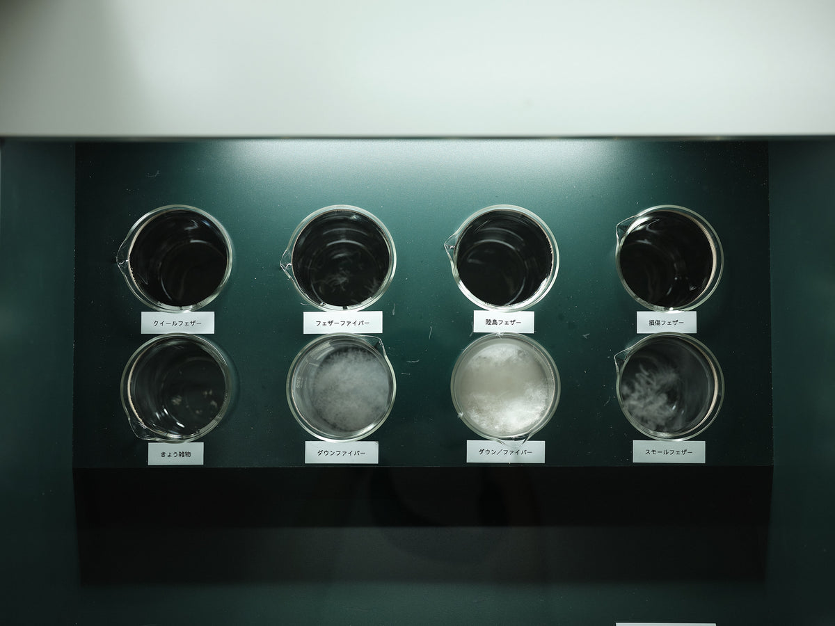 Down and feather samples sorted by type in glass beakers