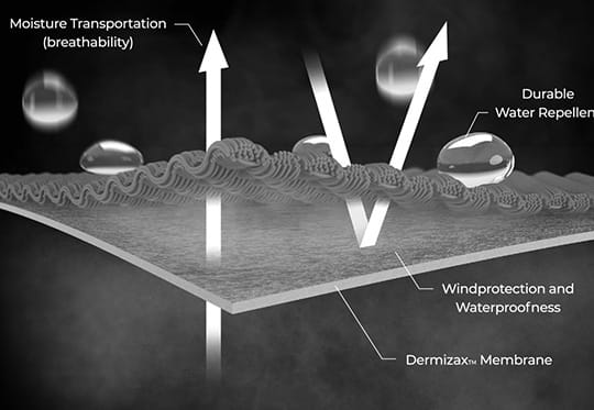 Dermizax